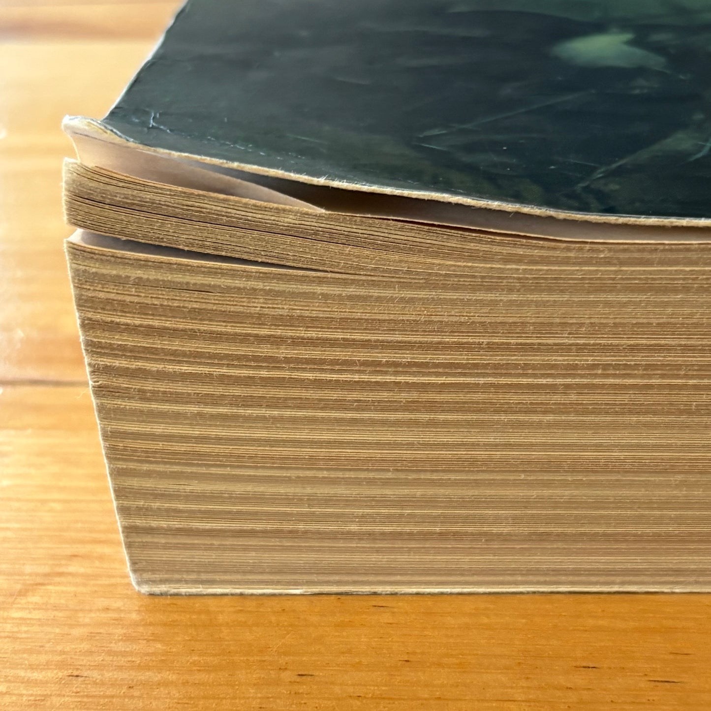 The Lord Of The Rings by J.R.R. Tolkien 2001 Paperback GD