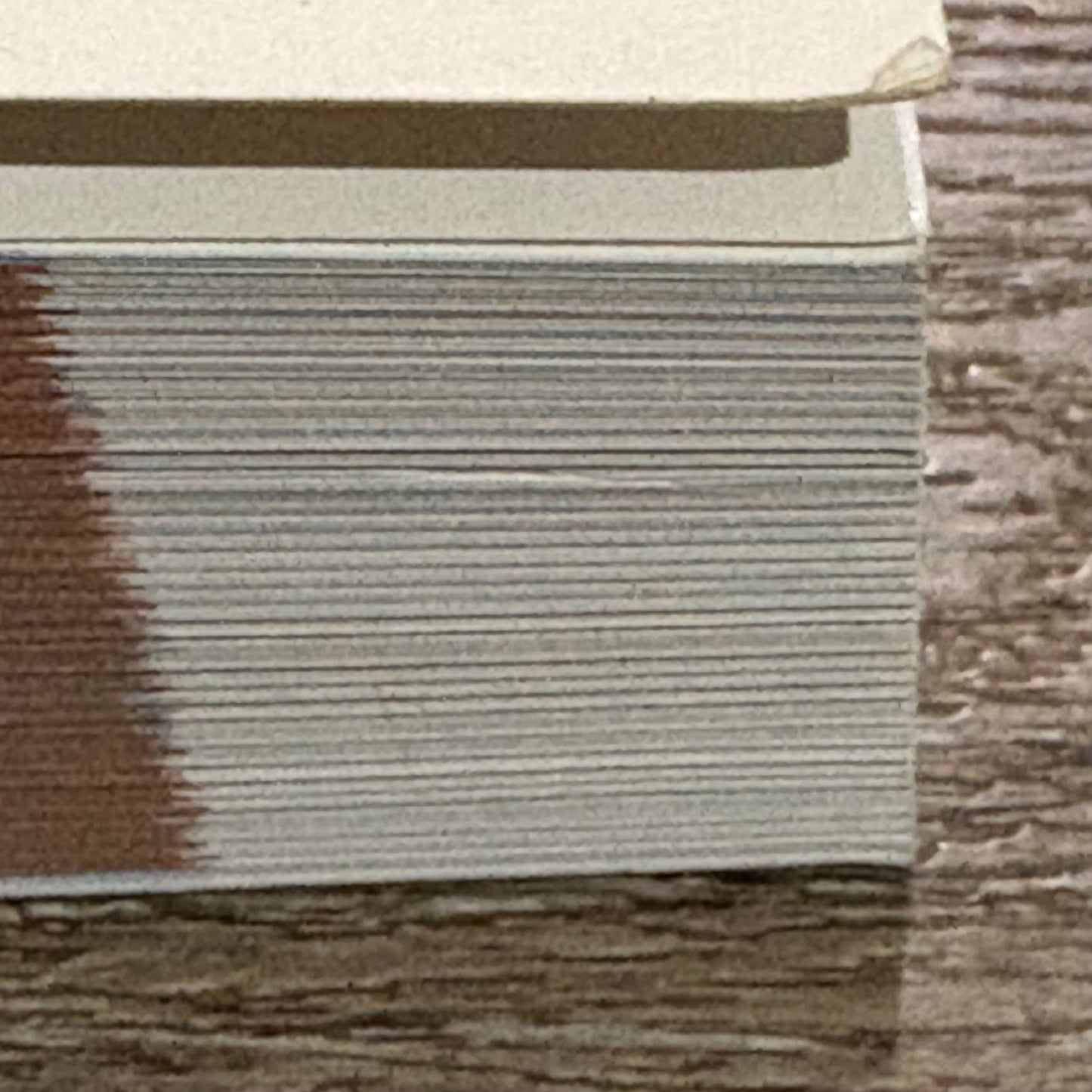 Fundamentals Of Nursing Sue DeLaune Ladner McTier Tollefson Lawrence 2nd Edition GD