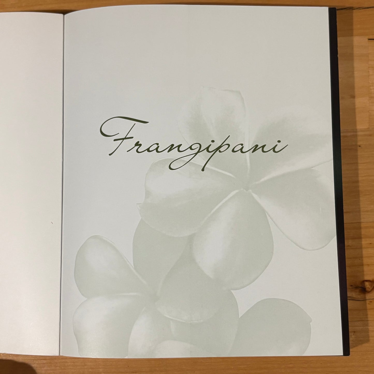 Frangipani Practical Guide To Growing At Home Paperback 2008 GD