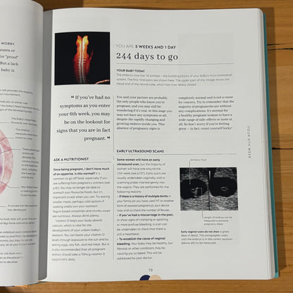 The Day-by-Day Pregnancy Book by Dr Maggie Clott Hardcover 2022 GD