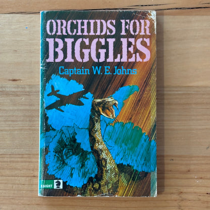 Biggles Paperbacks x 10 Bundle Captain W.E. Johns Vintage Story Books