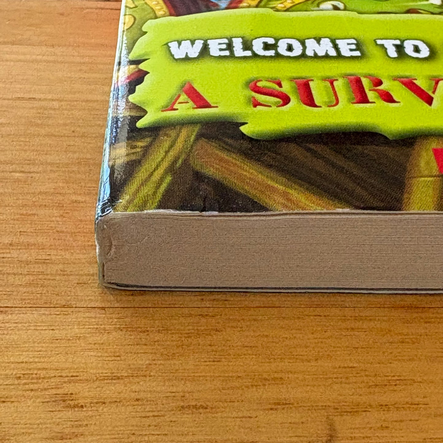 Welcome To Horrorland: A Survival Guide Goosebumps  Paperback R.L. Stine GD