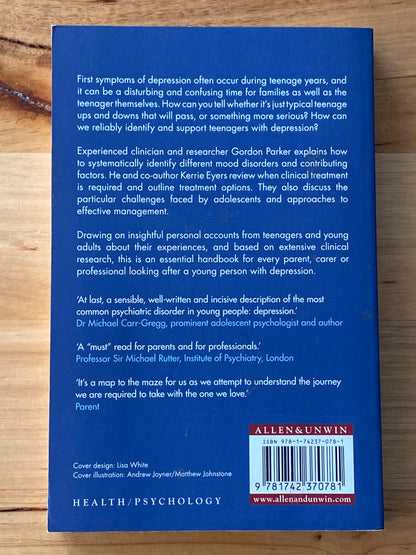 Navigating Teen Depression Gordon Parker Kerry Eyers Paperback 2009 GD