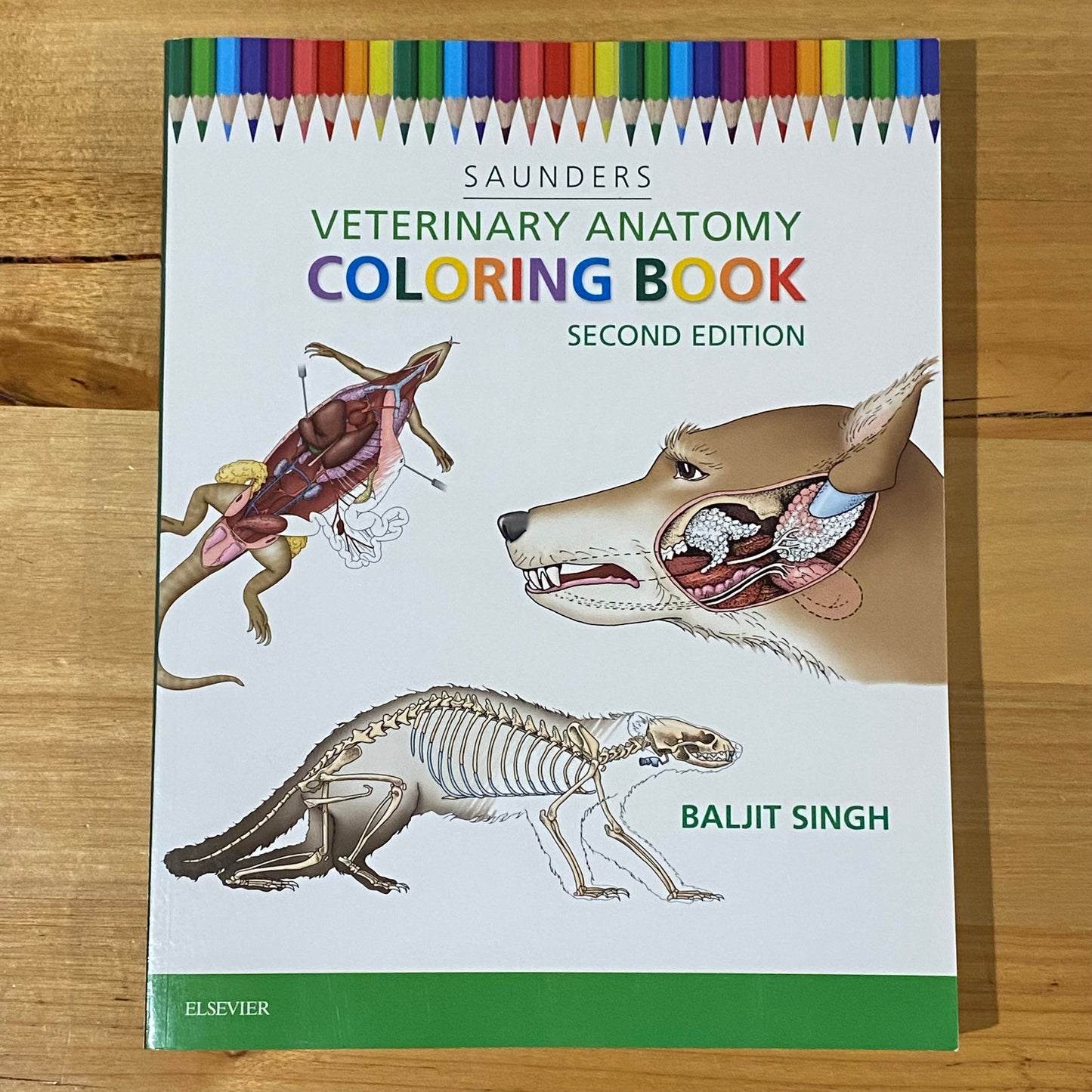 Saunders Veterinary Anatomy Coloring Book 2nd Edition by Baljit Singh Paperback GD