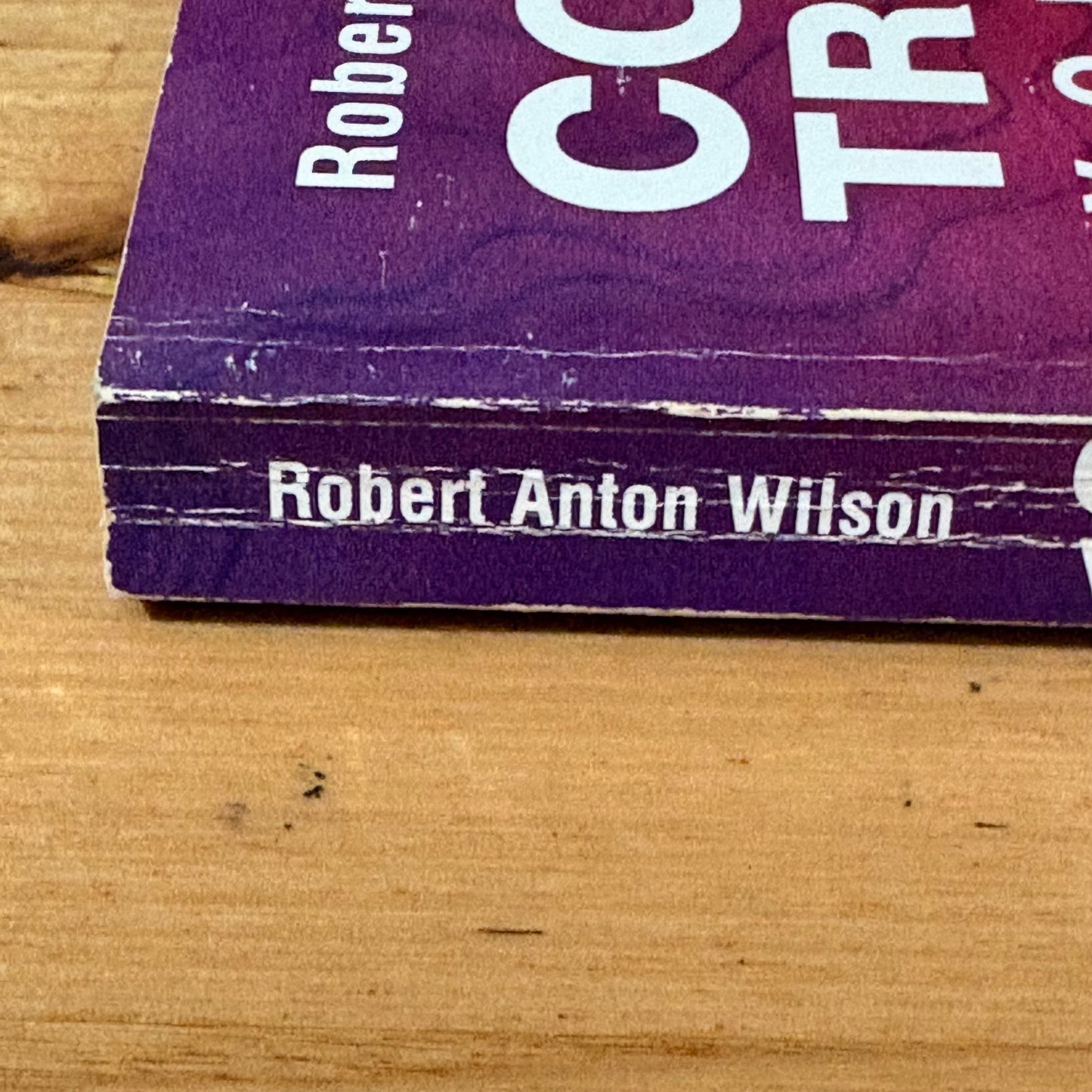 Cosmic Trigger Volume 1 by Robert Anton Wilson Paperback 1992 GD