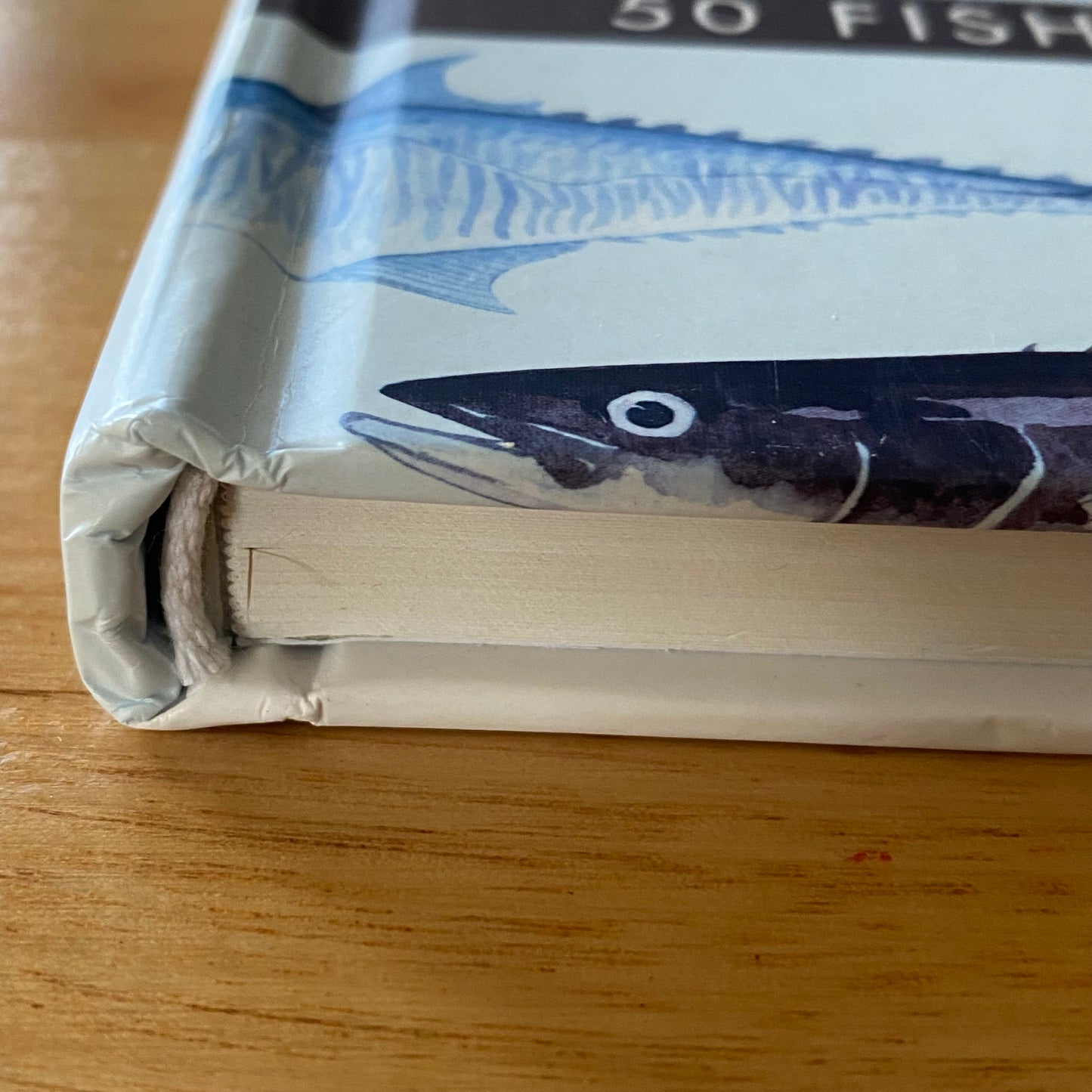 The Fisherman's Bucket List by Paul Worstelling Hardcover 2011 GD