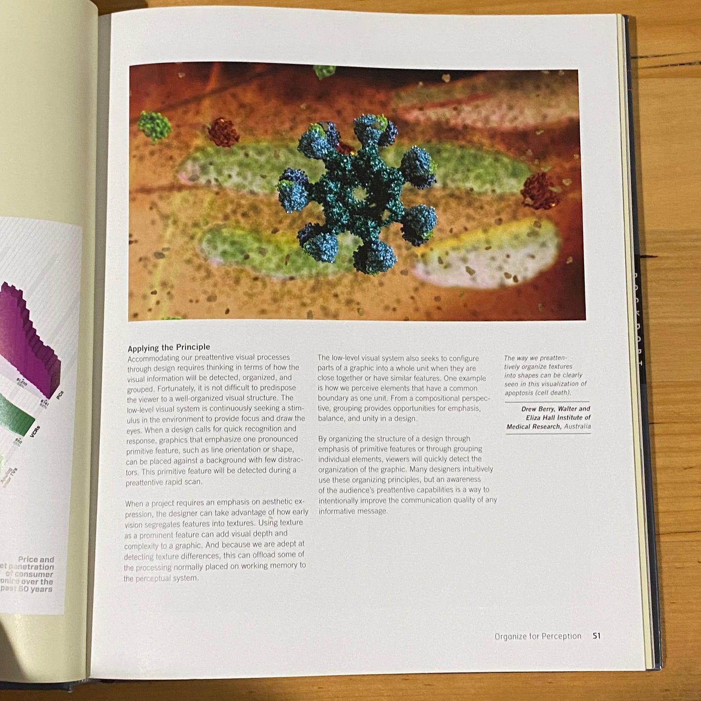 Visual Language for Designers by Connie Malamed Hardcover 2009 GD