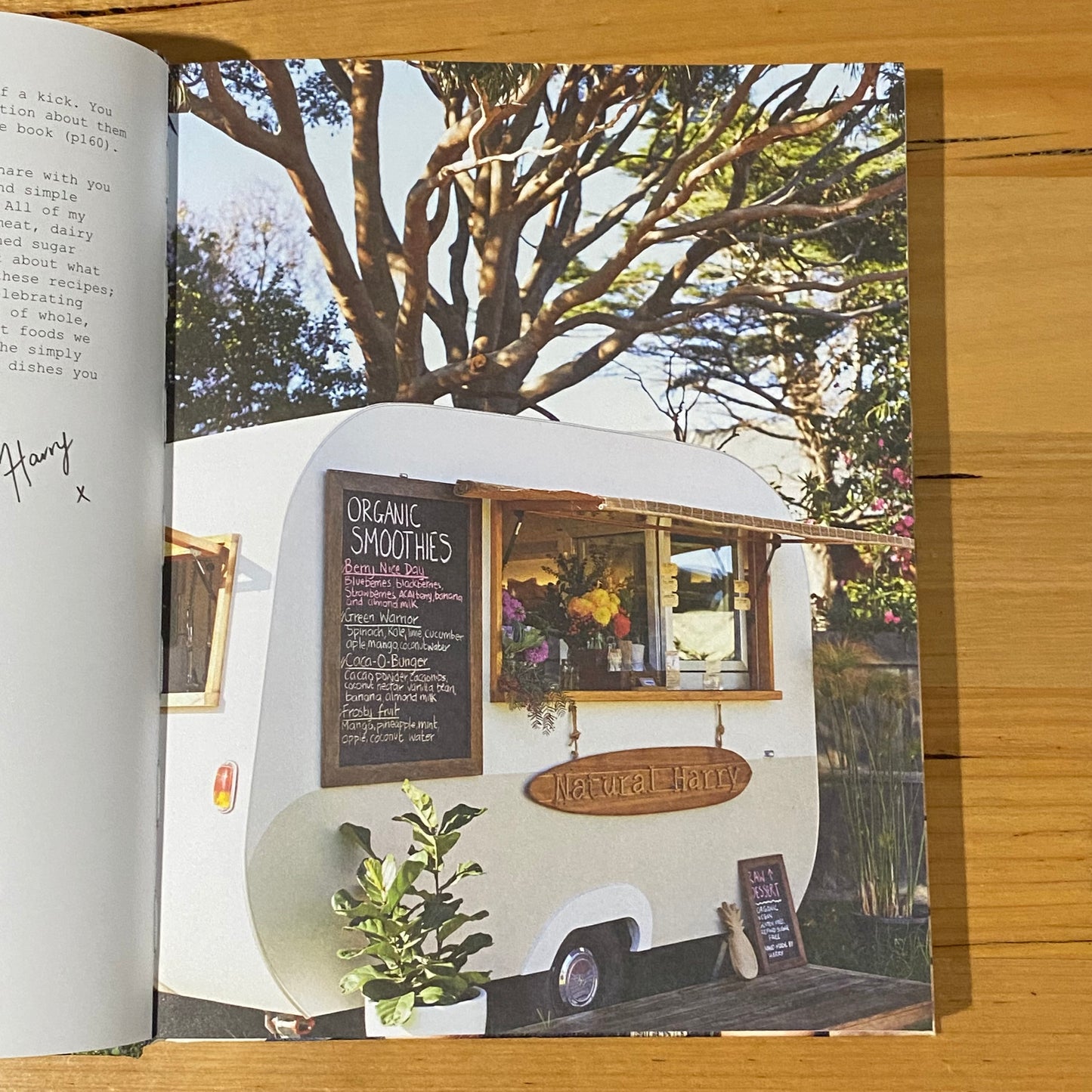 Natural Harry Delicious Plant Based Summer Recipes by Harriet Birrell Hardcover 2015 GD