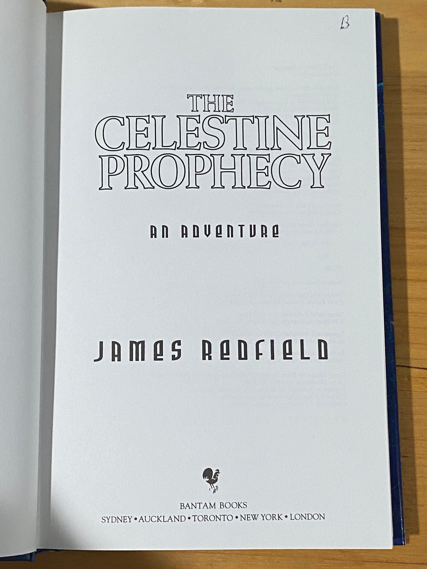 The Celestine Prophecy An Adventure by James Redfield Hardcover 1995 GD