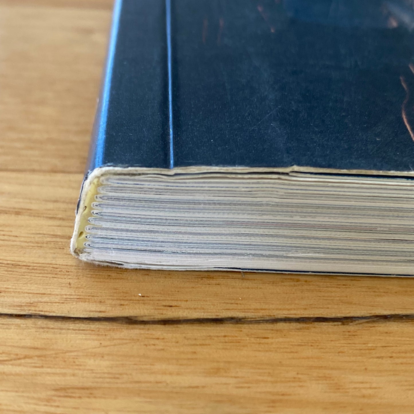 The Catch The Story of Fishing in Victoria Anna Clark Paperback 2017 GD