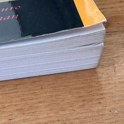 Flashing Steel Mastering Eishin-Ryu Swordmanship 2nd Edition Paperback VGC