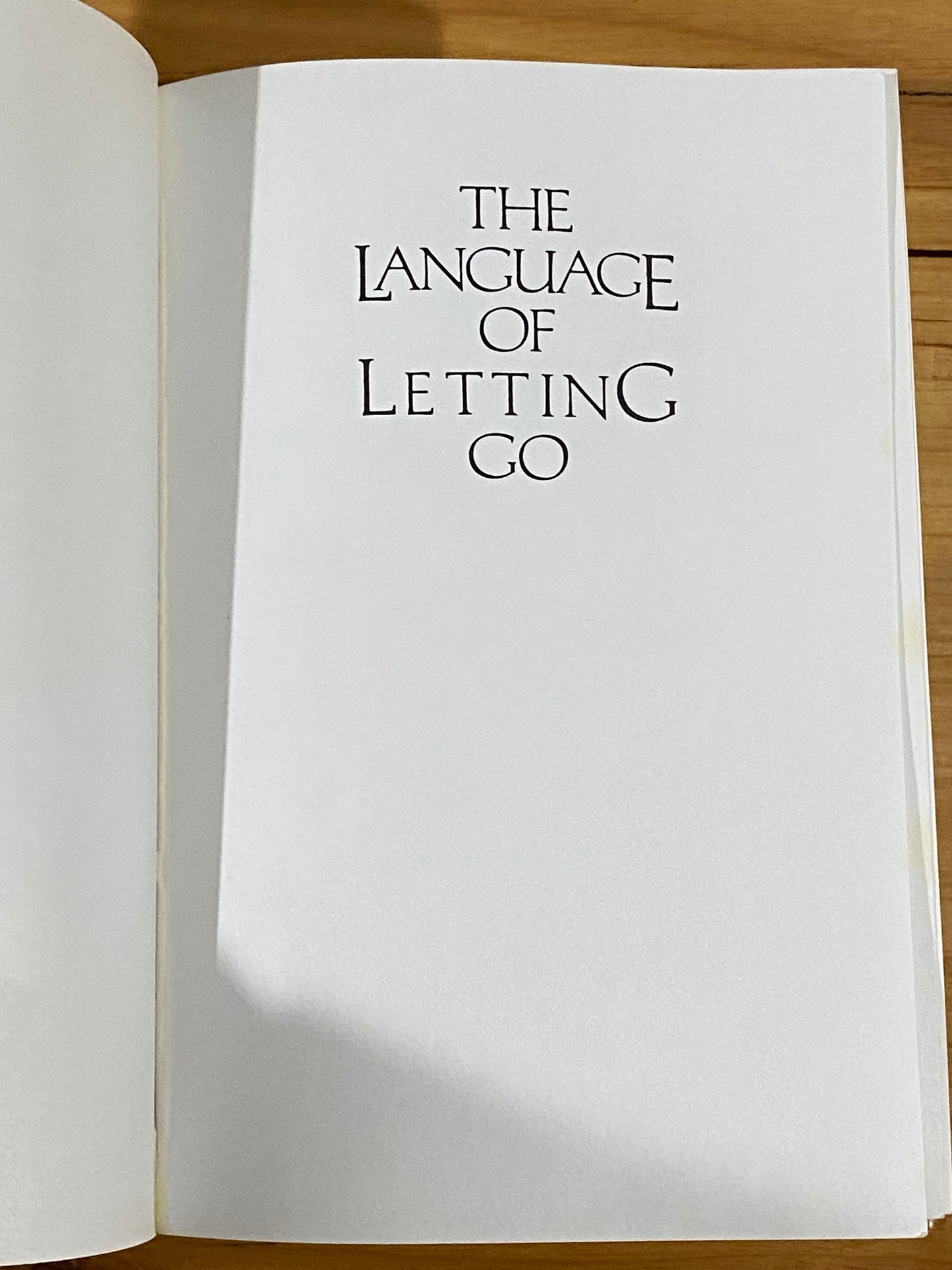 The Language of Letting Go by Melody Beattie 1990 Self Help Paperback VGC