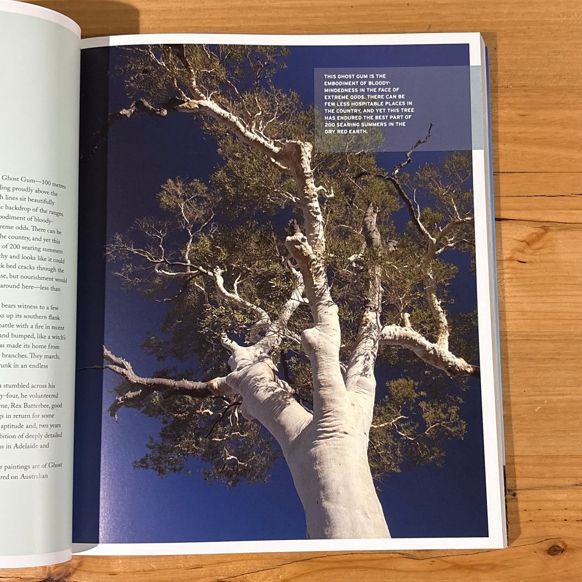 Australia's Remarkable Trees by Richard Allen and Kimbal Baker Softcover 2010