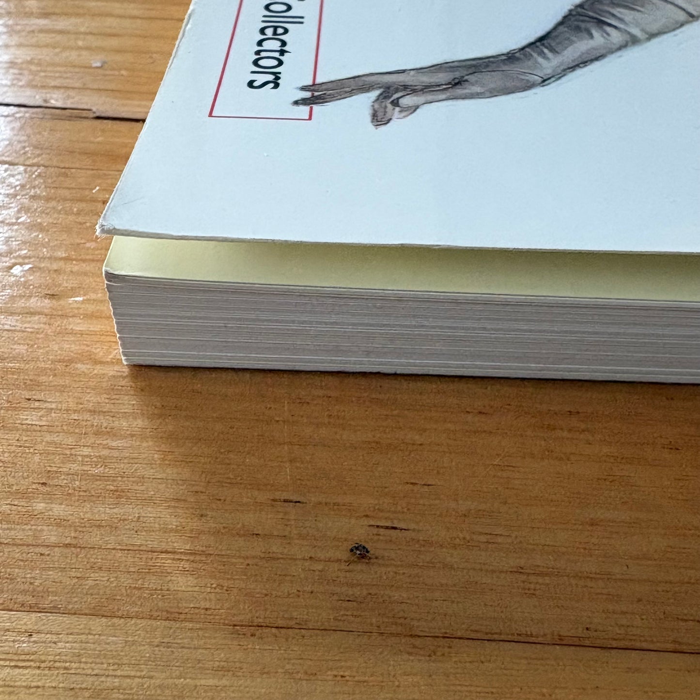 Harrison Fisher Defining The American Beauty Paperback 1999 GD