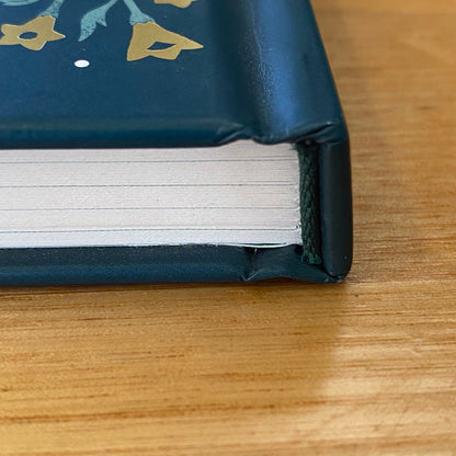 The Mystical Year Folklore, Magic & Nature by Alison Davies Hardcover GD