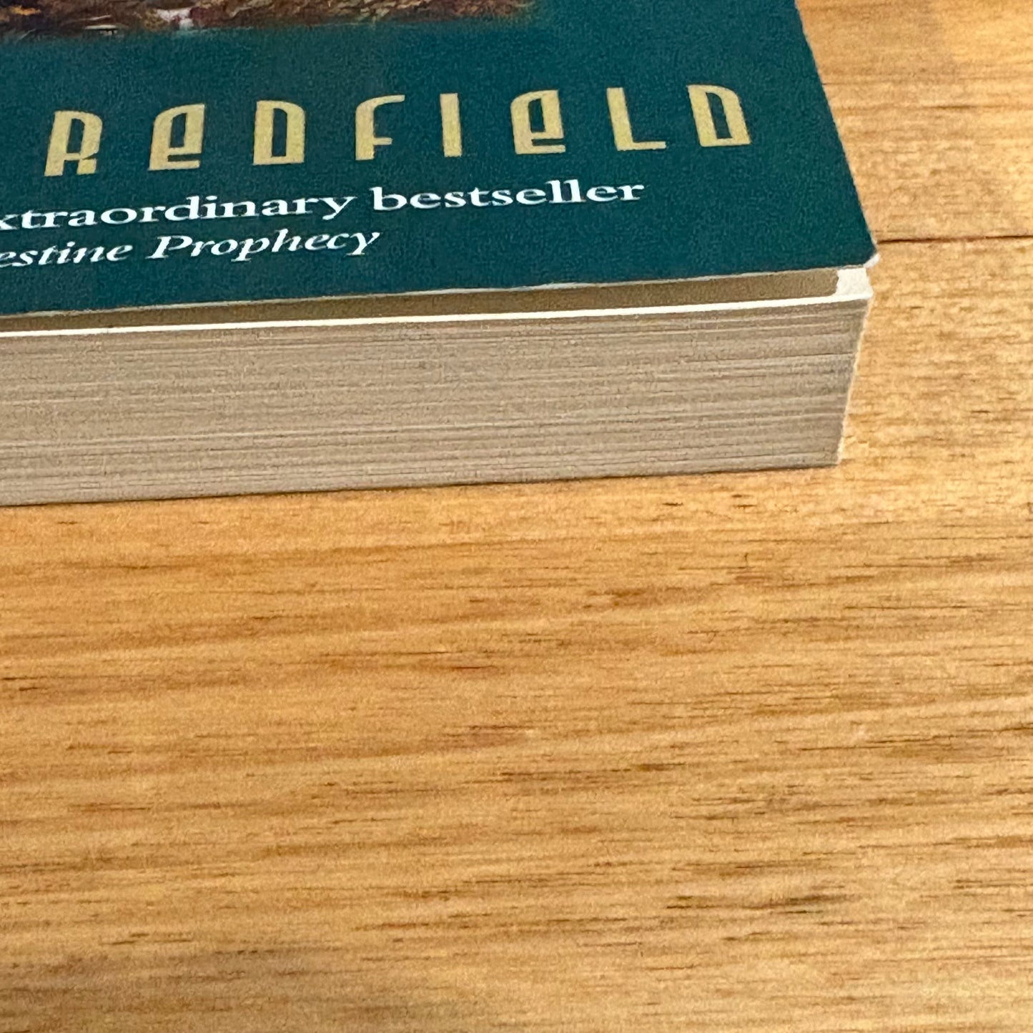 The Tenth Insight Holding The Vision by James Redfield Paperback 1999 GD