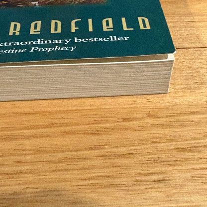 The Tenth Insight Holding The Vision by James Redfield Paperback 1999 GD