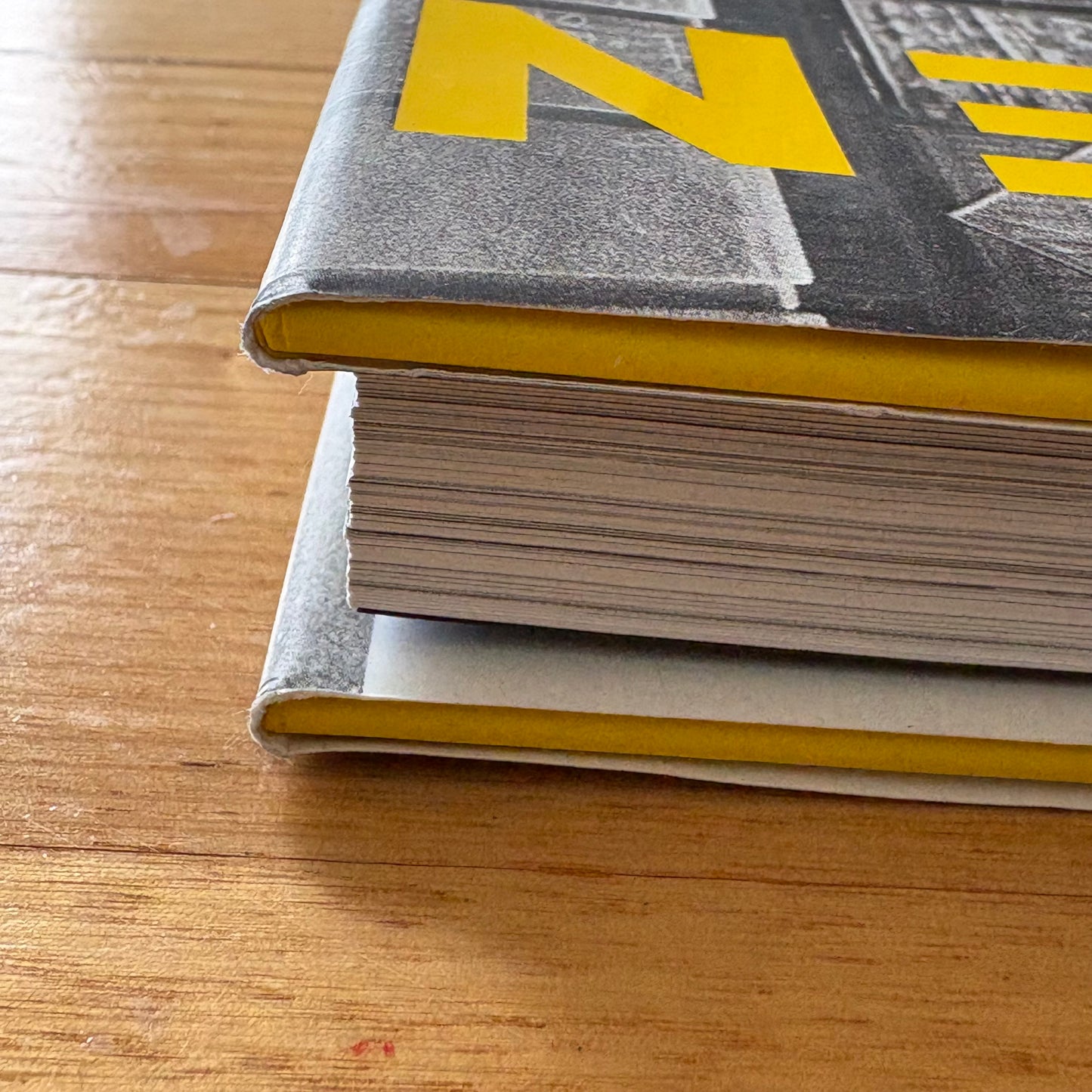 Unseen Unpublished Black History New York Times Hardcover 2017 GD