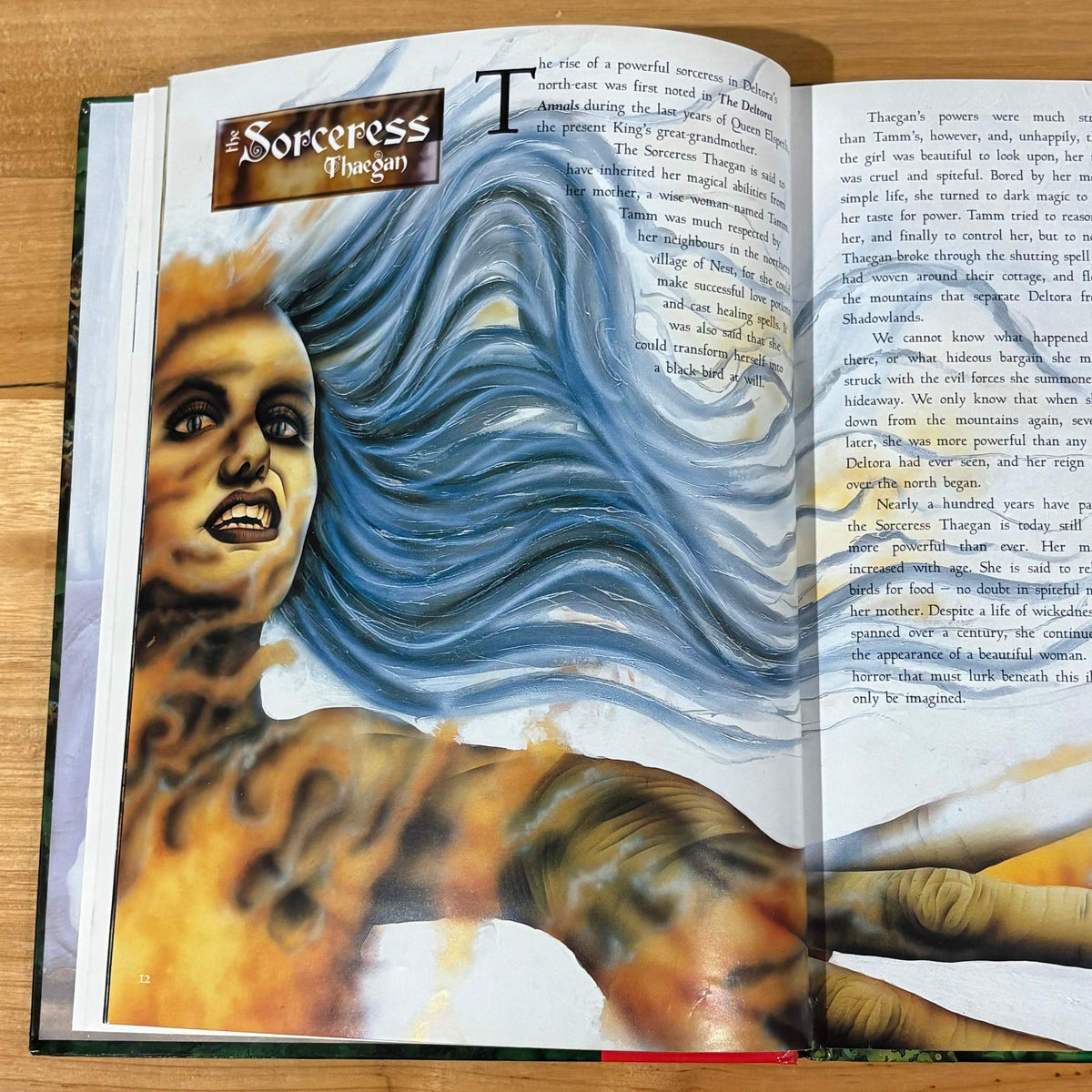 The Deltora Book of Monsters Emily Rodda Marc McBride Hardcover 2001 GD