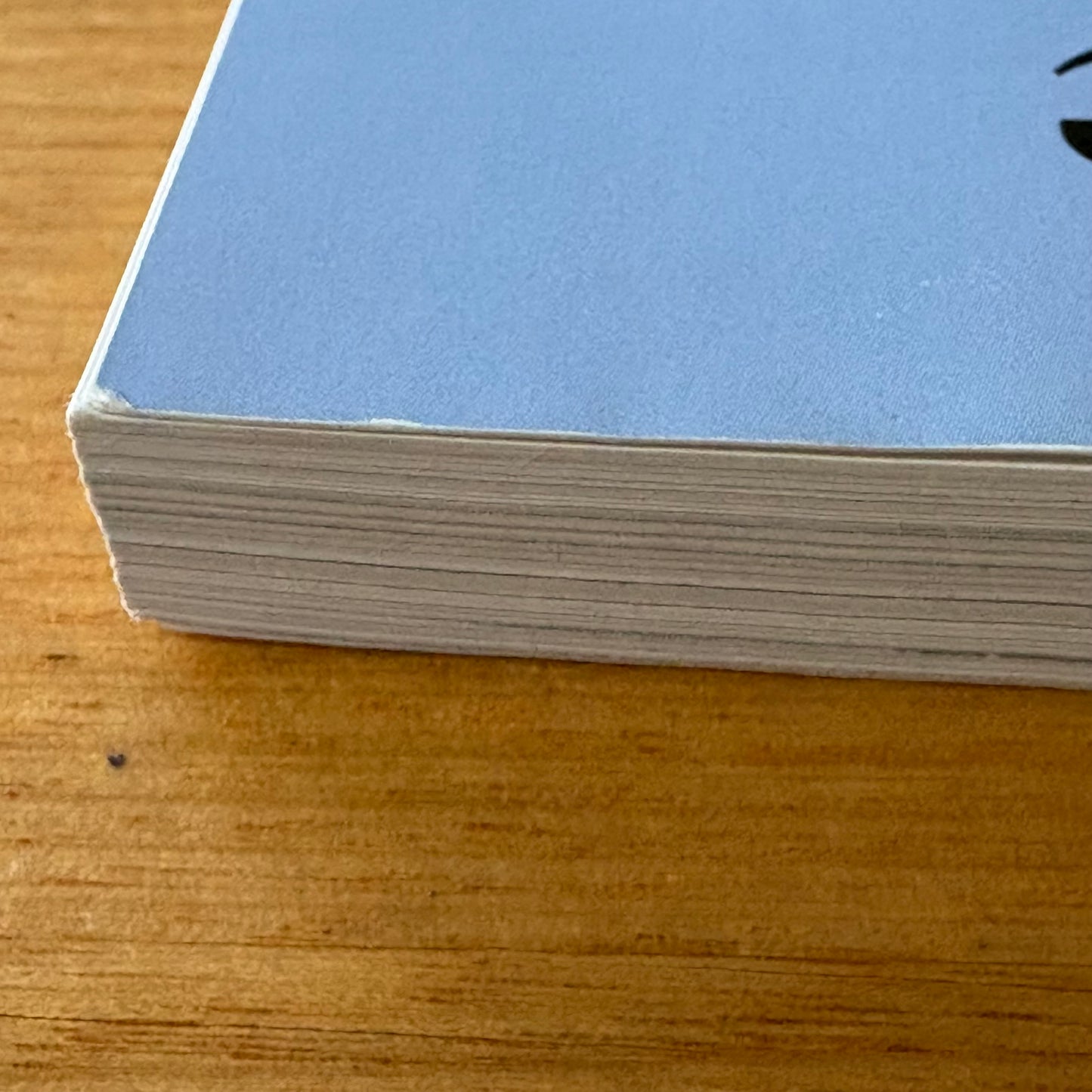 Let My People Go Yvon Chouinard Surfing Paperback 2006 GD