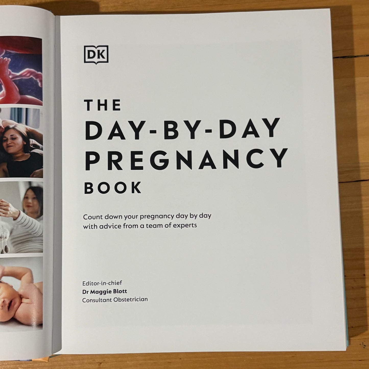 The Day-by-Day Pregnancy Book by Dr Maggie Clott Hardcover 2022 GD