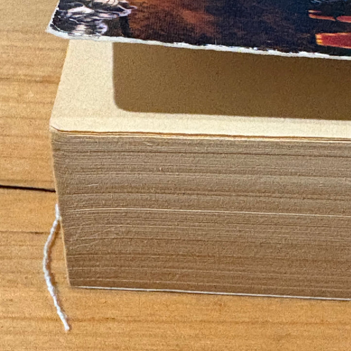 The Crippled Angel by Sara Douglass Paperback 2002 GD