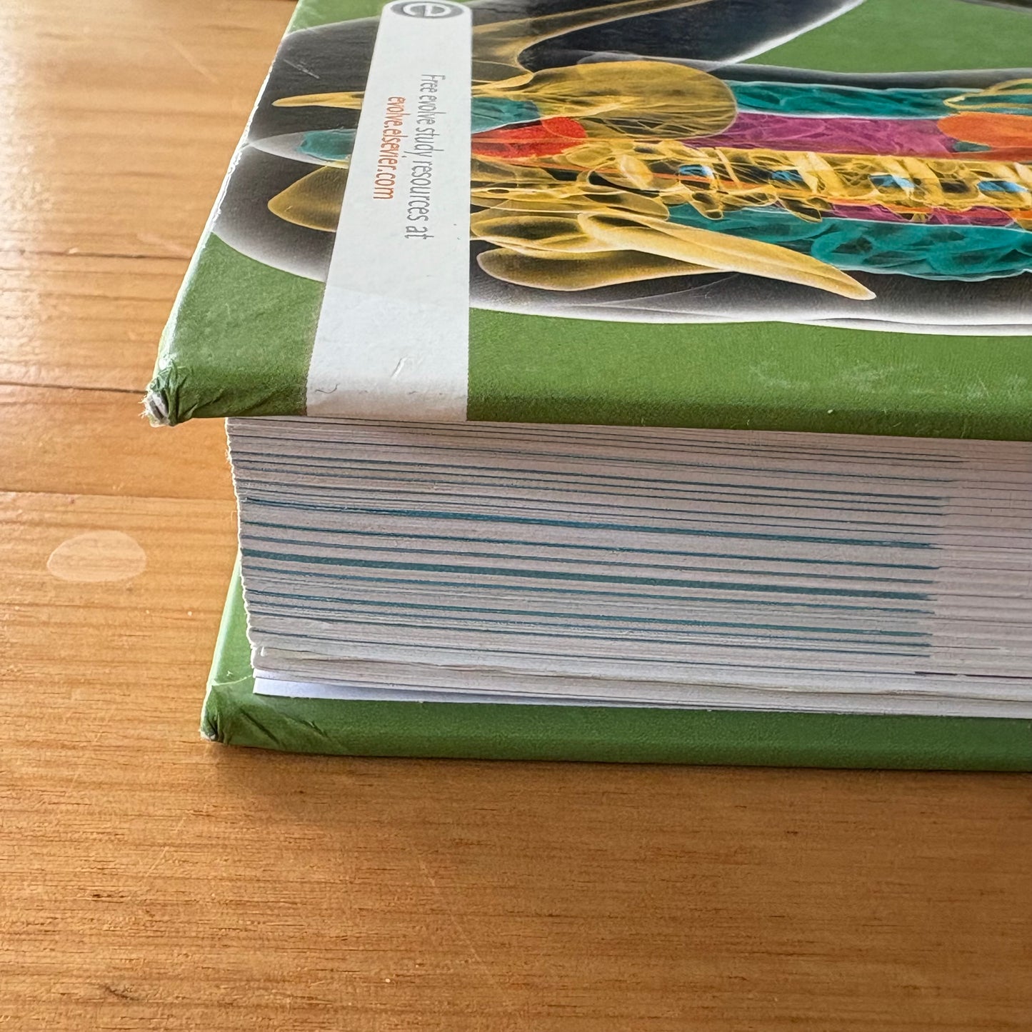 Jarvis's Physical Examination and Health Assessment 2e Hardcover GD