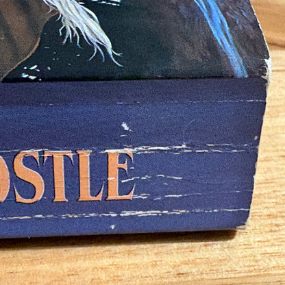 The Demon Apostle R.A. Salvatore Fantasy Paperback 2000 GD