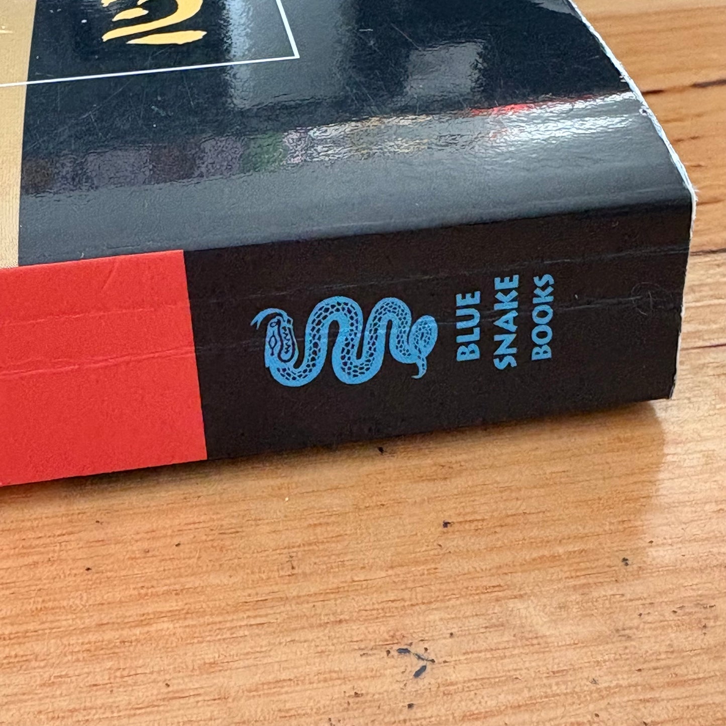 Flashing Steel Mastering Eishin-Ryu Swordmanship 2nd Edition Paperback VGC