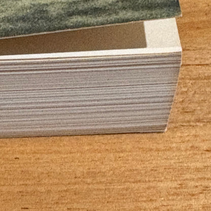 The Envelope by Maurice Wills Signed Paperback Australian Novel 1990 GD