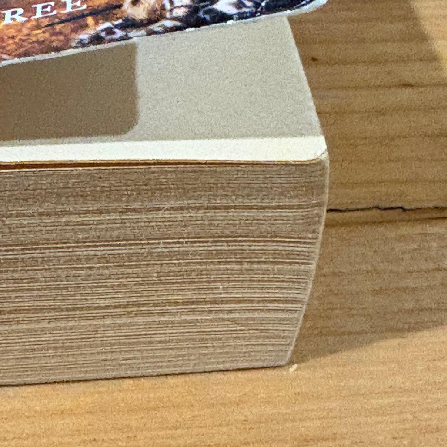 The Crippled Angel by Sara Douglass Paperback 2002 GD