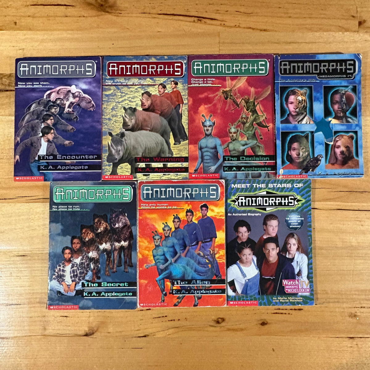 Animorphs Paperback Novels by K.A. Applegate x 14 Bundle Vintage