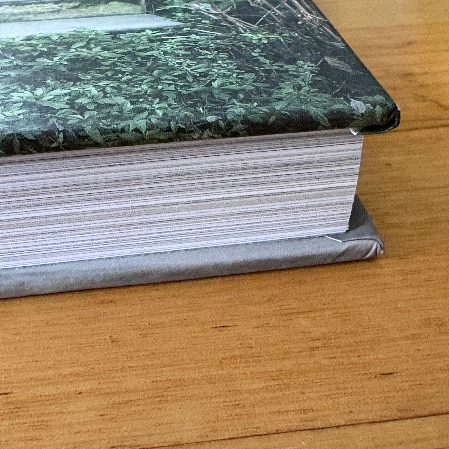 Dogs on Doorsteps by Suzanne Stephenson Hardcover 2022 GD