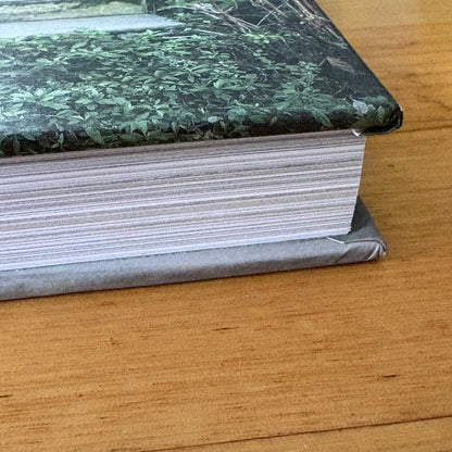 Dogs on Doorsteps by Suzanne Stephenson Hardcover 2022 GD