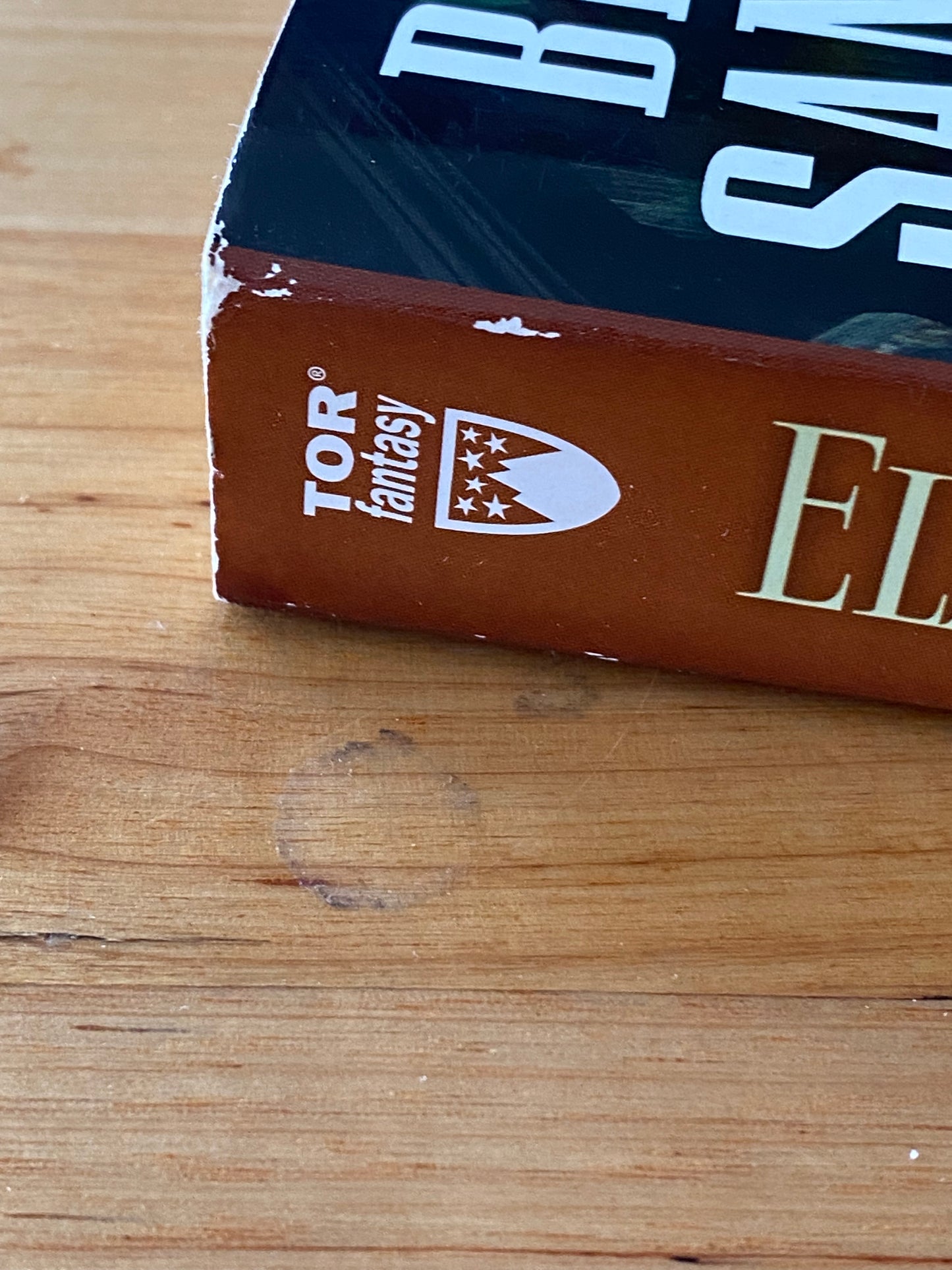 Elantris by Brandon Sanderson Paperback 2006 GD