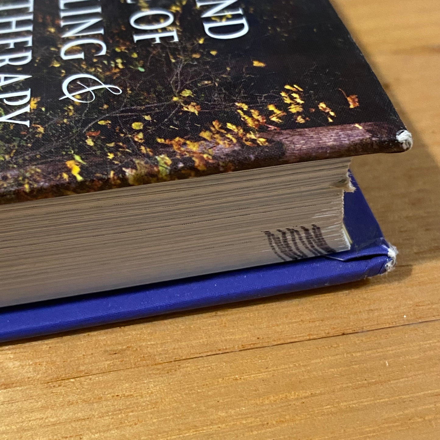 Theory & Practice of Counseling & Psychotherapy 6th Edition by Gerald Corey Hardcover