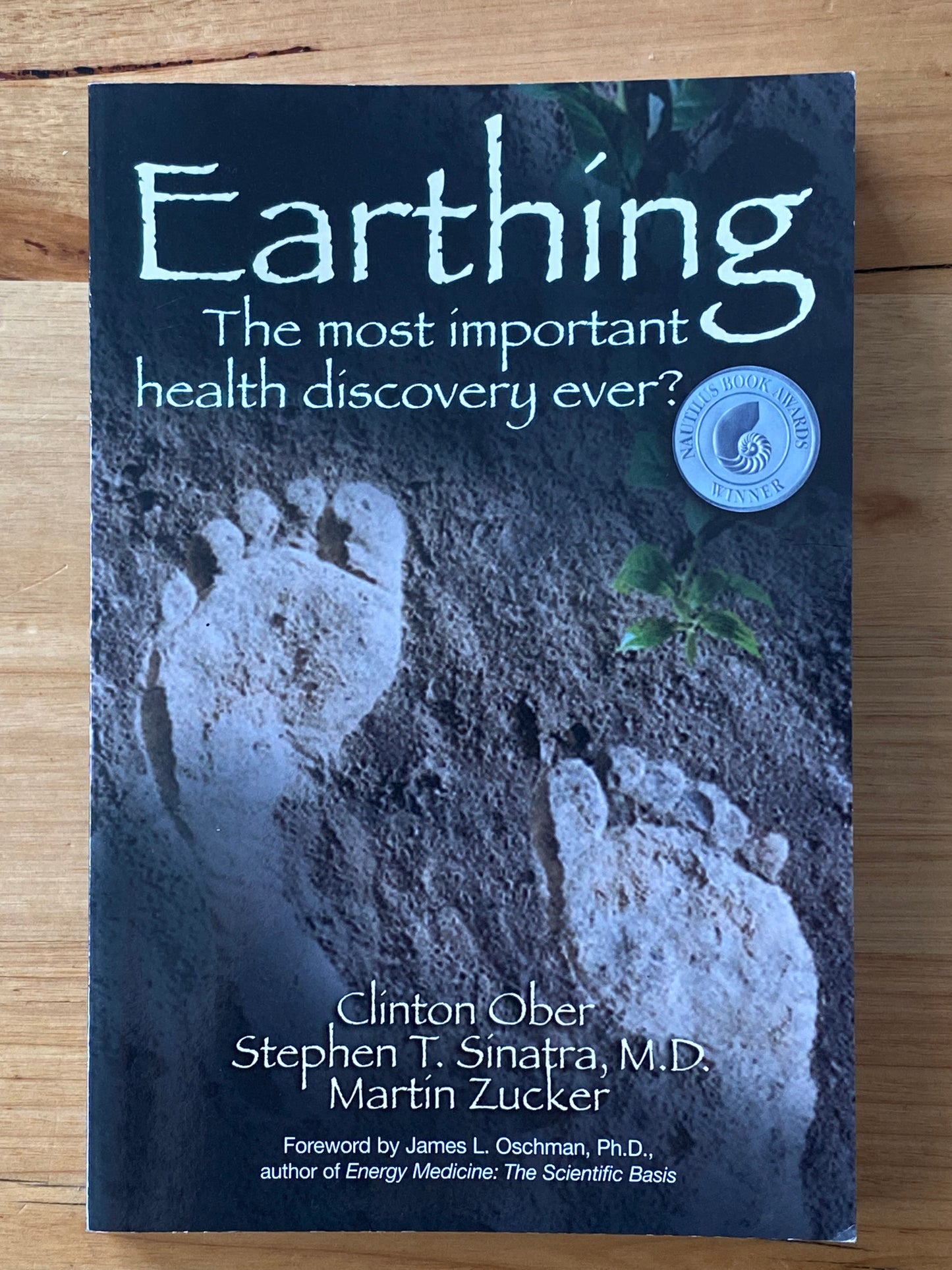 Earthing by Clinton Ober Martin Zucker Paperback 2010 GD