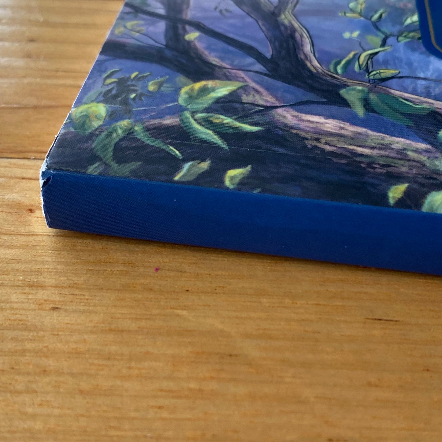 Disney Dreams Collection Colouring Book Thomas Kinkade Paperback 2017 GD