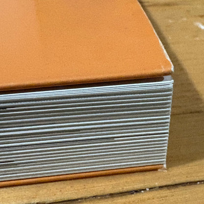 Beyond The Facade Flinders Street by Jenny Davies 2010 Softcover