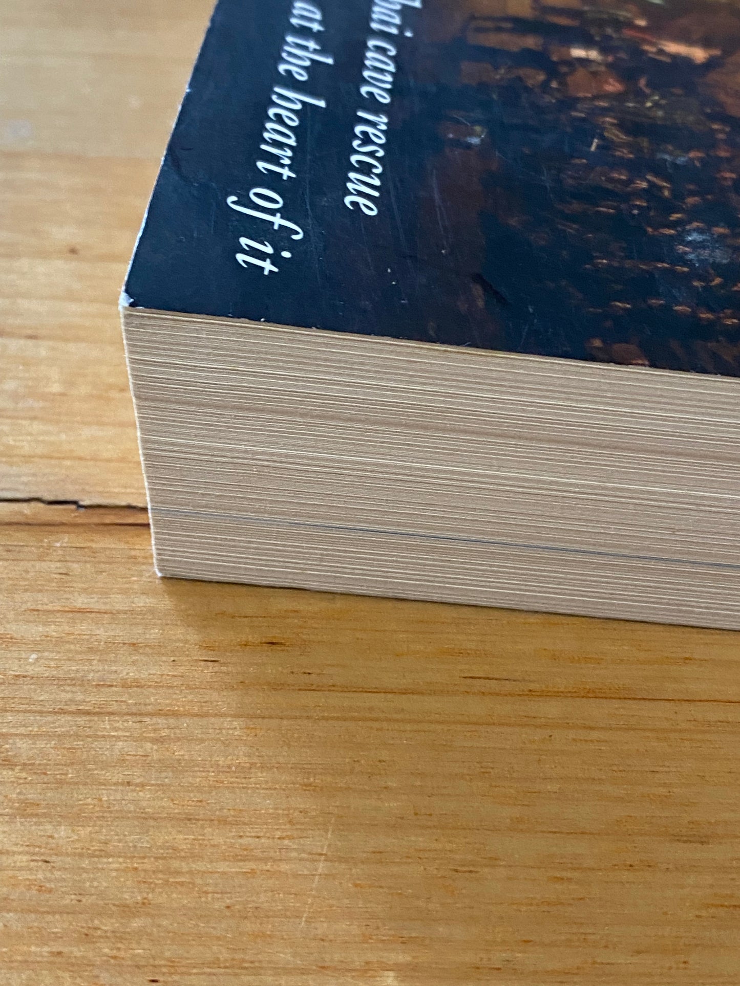 Craig Challen & Richard Harris Against All Odds Paperback 2019 GD