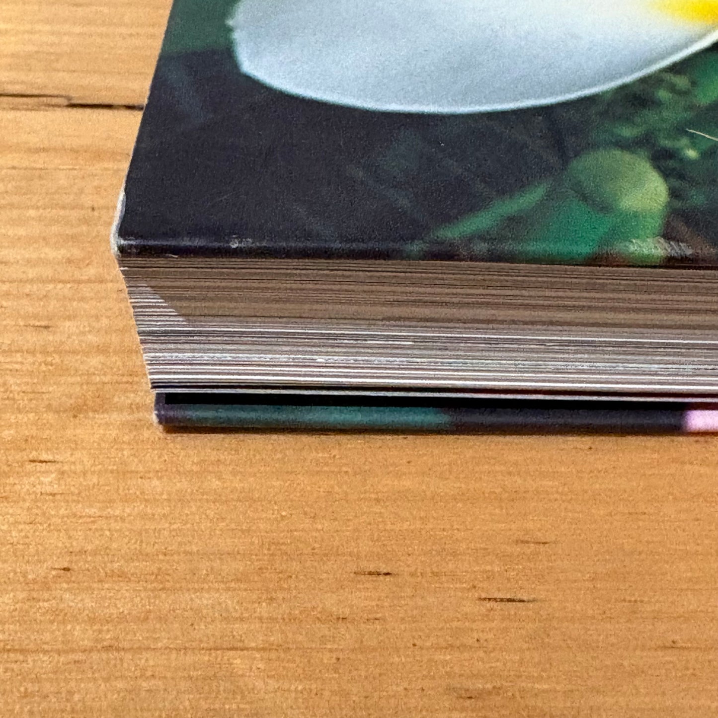 Frangipani Practical Guide To Growing At Home Paperback 2008 GD