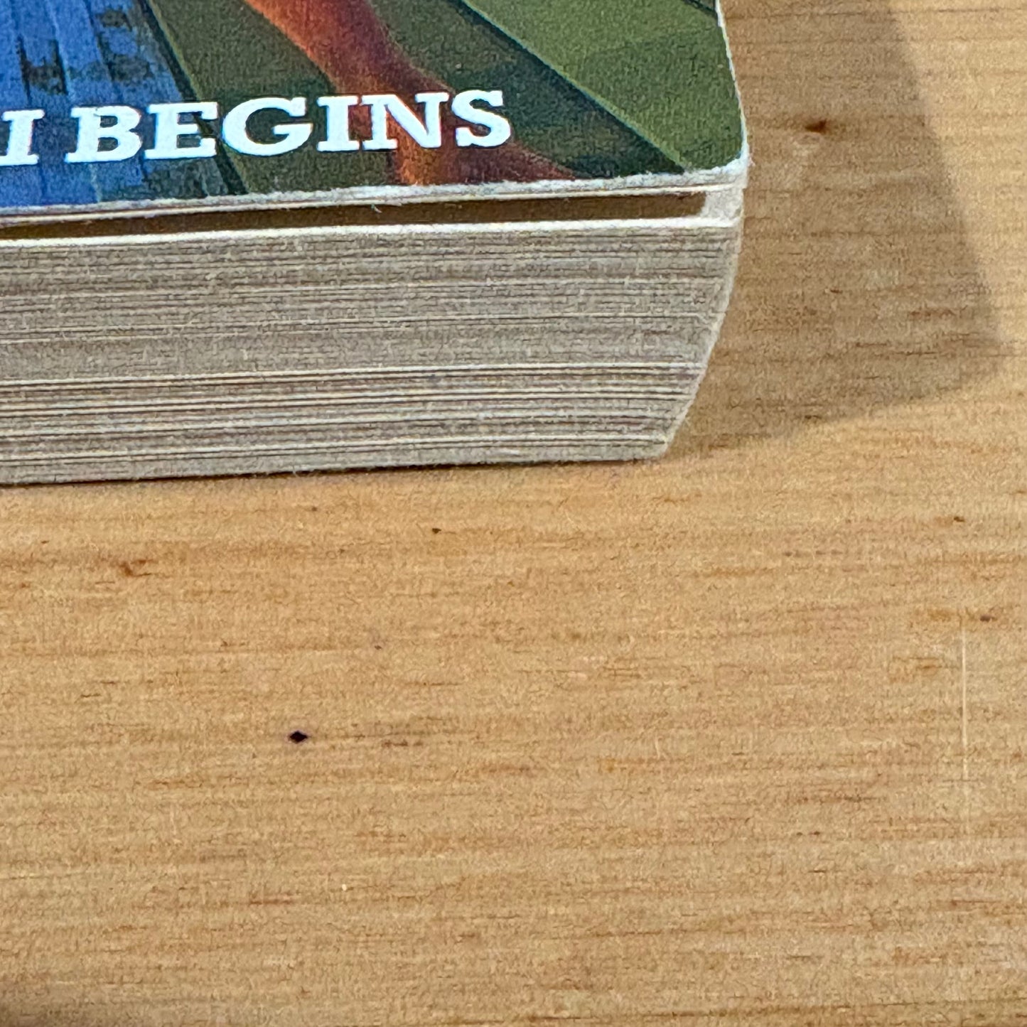 The Pride of Chanur by C.J. Cherryh Paperback 1998 GD