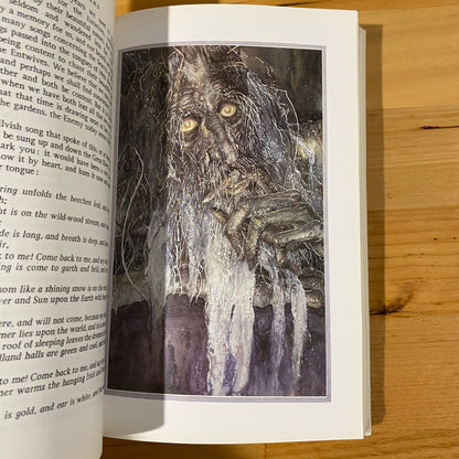 Lord Of The Rings The Two Towers J.R.R. Tolkien 1996 Illustrated Paperback GD