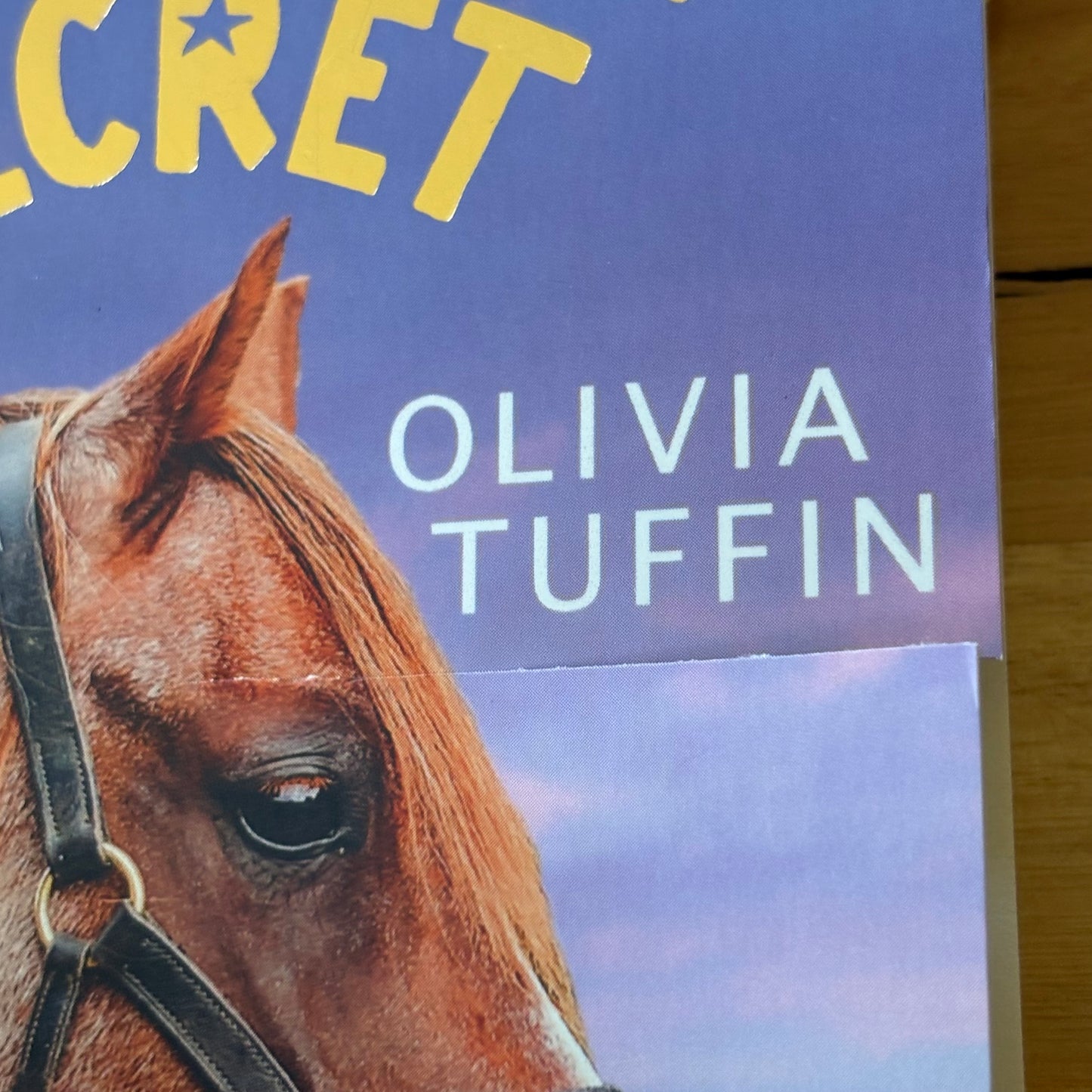 A Pony Called Secret Olivia Tuffin Bundle of 6 Paperbacks GD