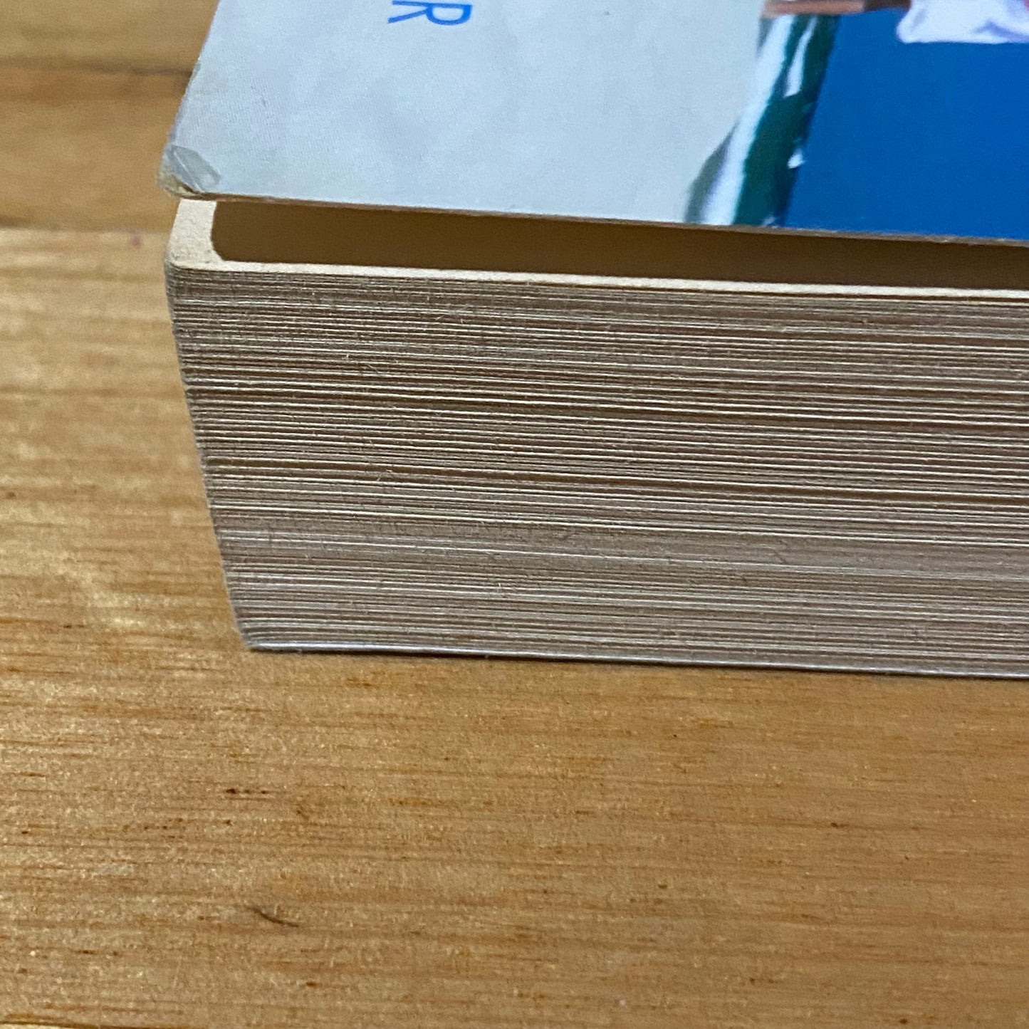 Living With Bipolar by Lesley & Michael Berk Paperback 2008 GD