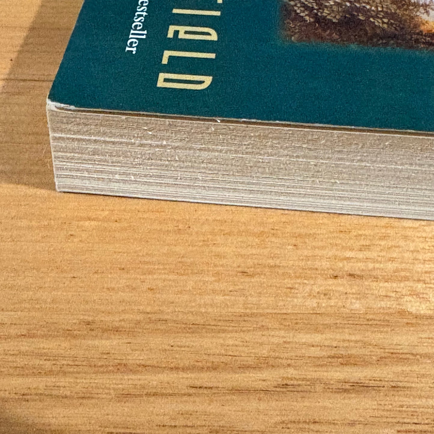 The Tenth Insight Holding The Vision by James Redfield Paperback 1999 GD