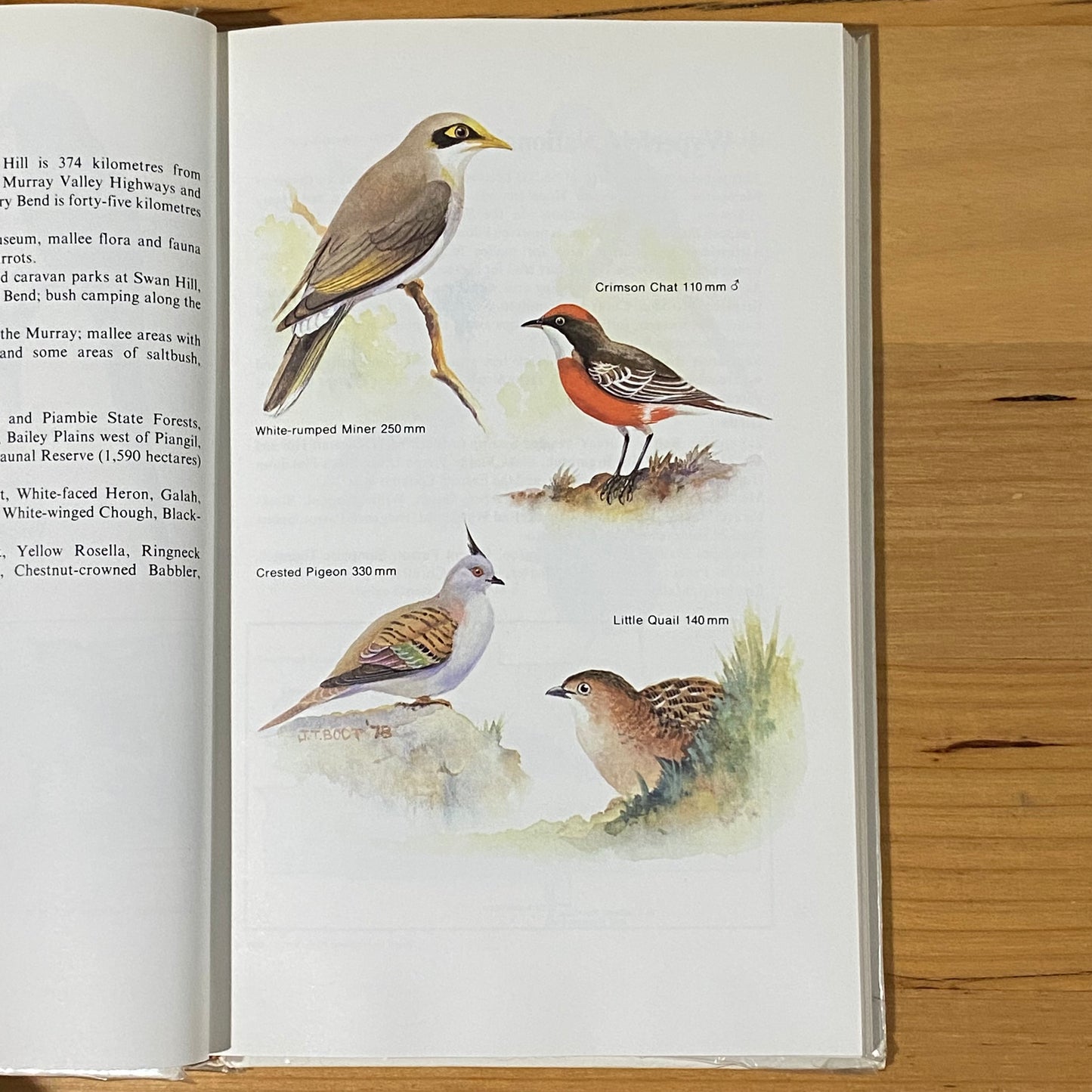 The Birds Of Victoria And Where To Find Them Hardcover Book SIGNED 1979 GD