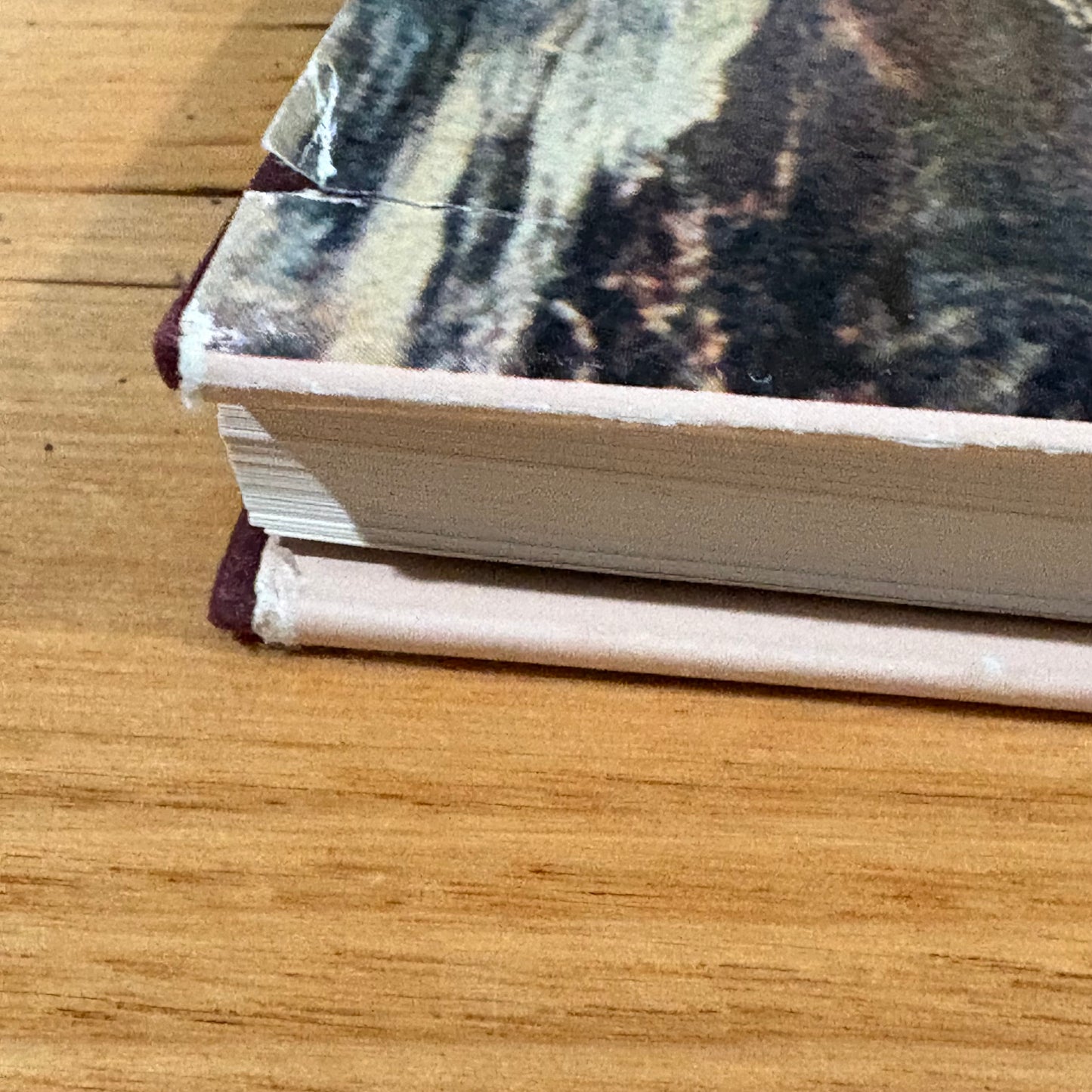 The Stepping Stone A History of the Shire of Bannockburn by Derek Beaurepaire 1995