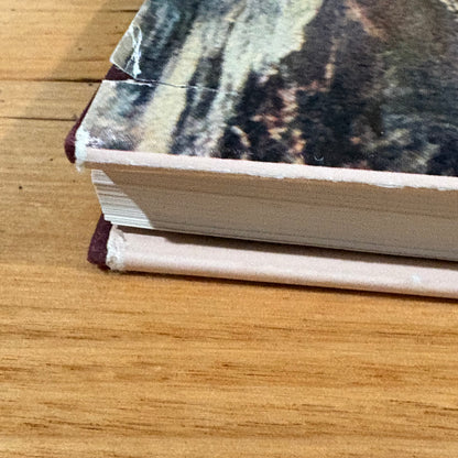 The Stepping Stone A History of the Shire of Bannockburn by Derek Beaurepaire 1995