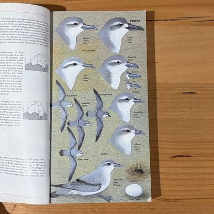 The Slater Field Guide To Australia Birds Revised Edition Paperback 1991 GD